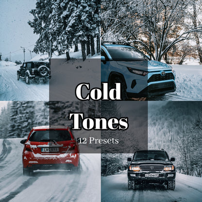 Cold Tones - 12 Presets Pack