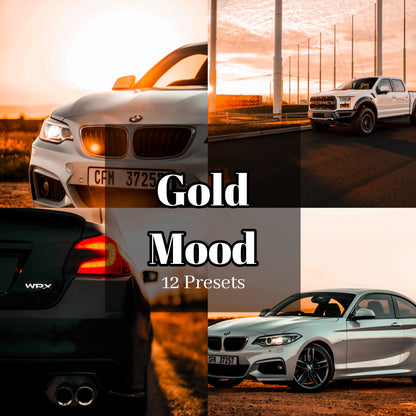 Gold Mood - 12 Presets Pack