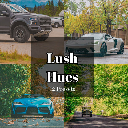 Lush Hues - 12 Presets Pack