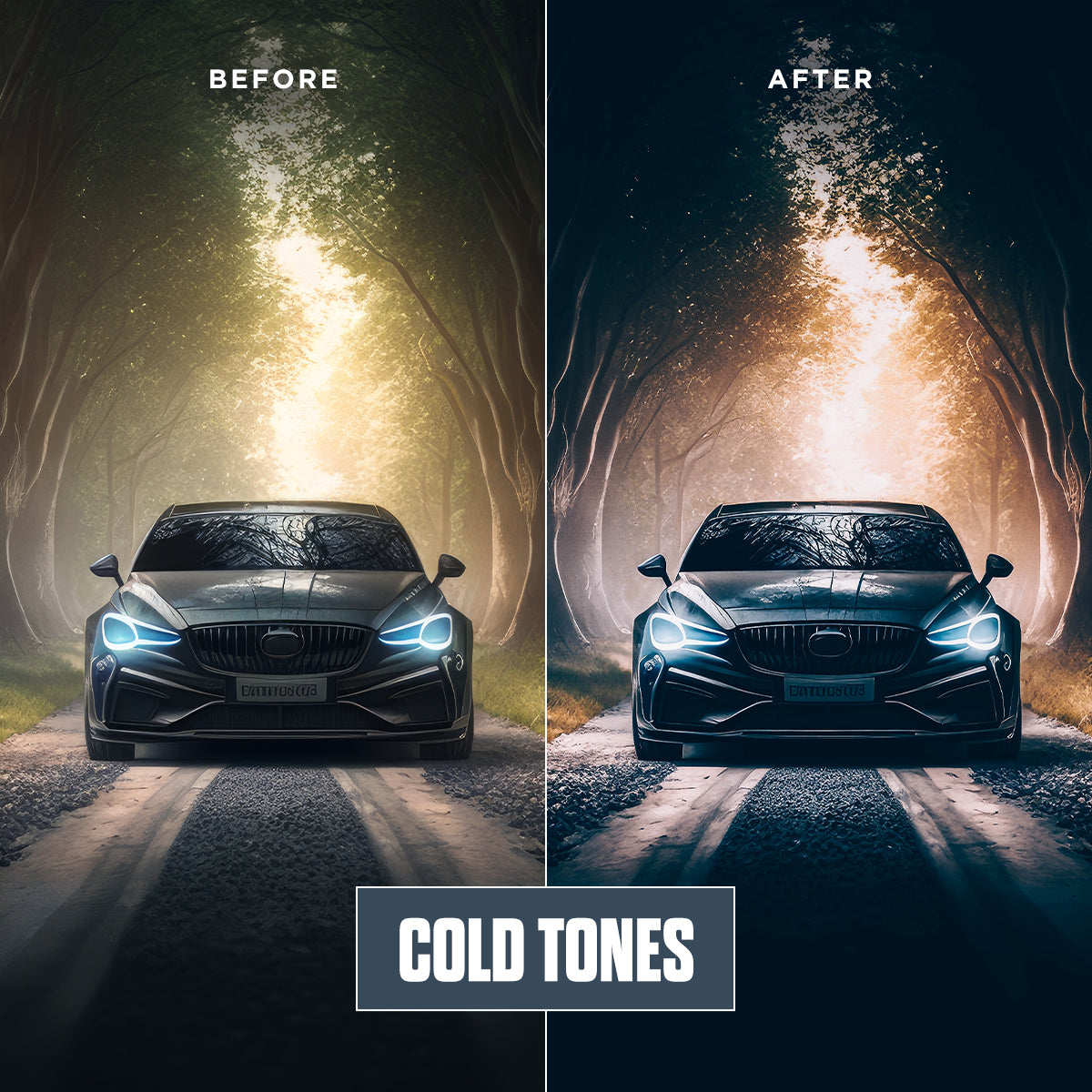 Cold Tones - 12 Presets Pack