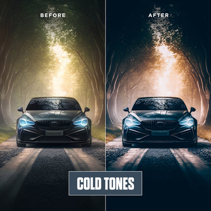 Cold Tones - 12 Presets Pack