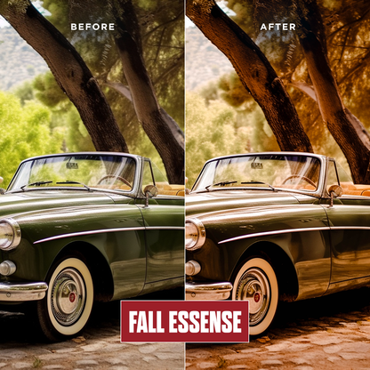 Fall Essence - 12 Presets Pack