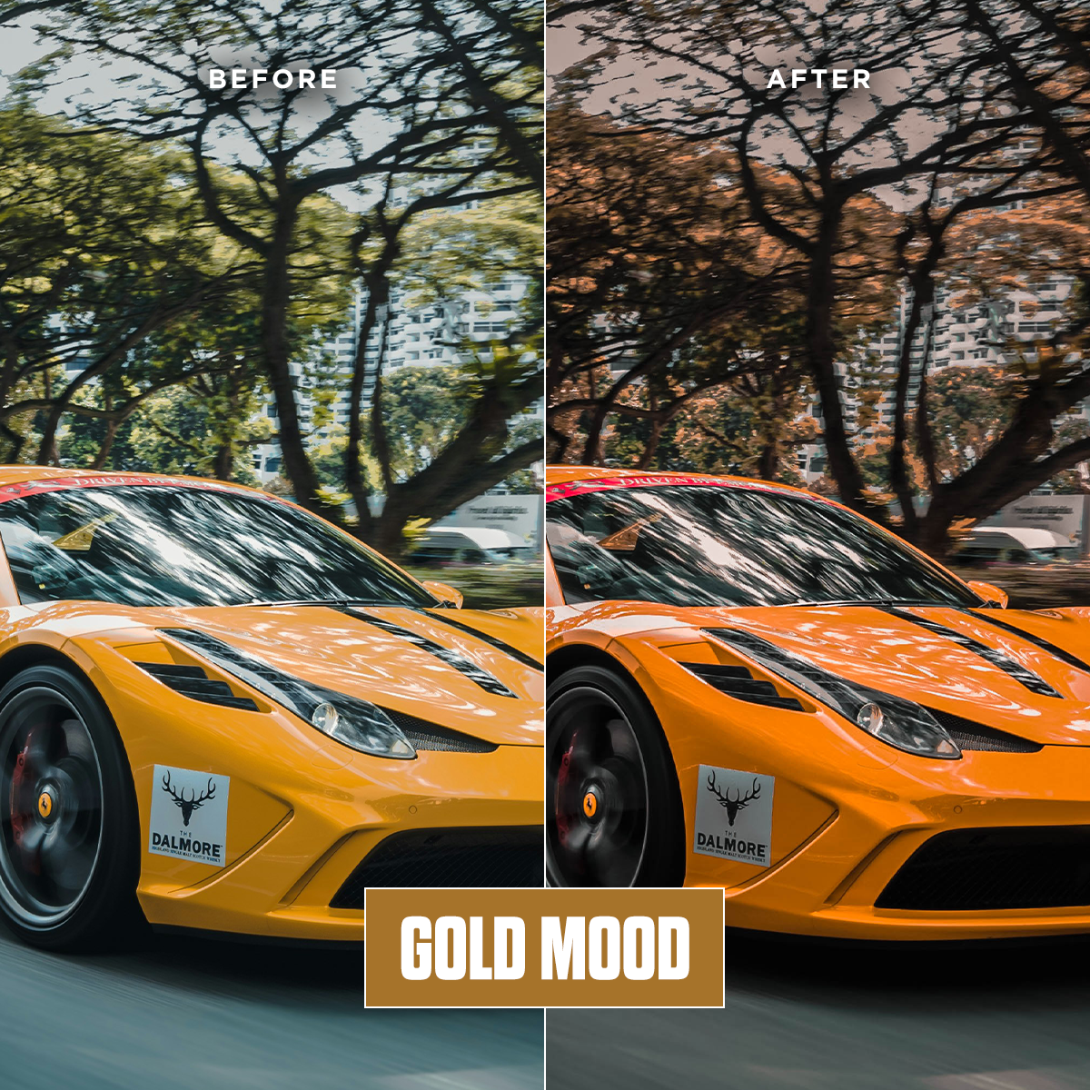 Gold Mood - 12 Presets Pack