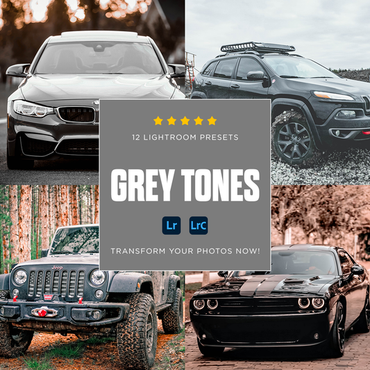 Grey Tones - 12 Presets Pack