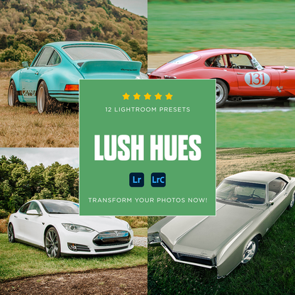 Lush Hues - 12 Presets Pack