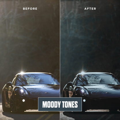 Moody Tones - 12 Presets Pack