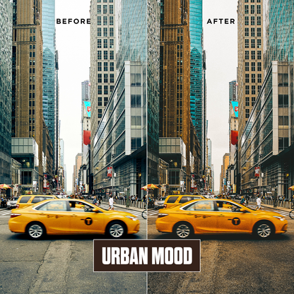 Urban Mood - 12 Presets Pack